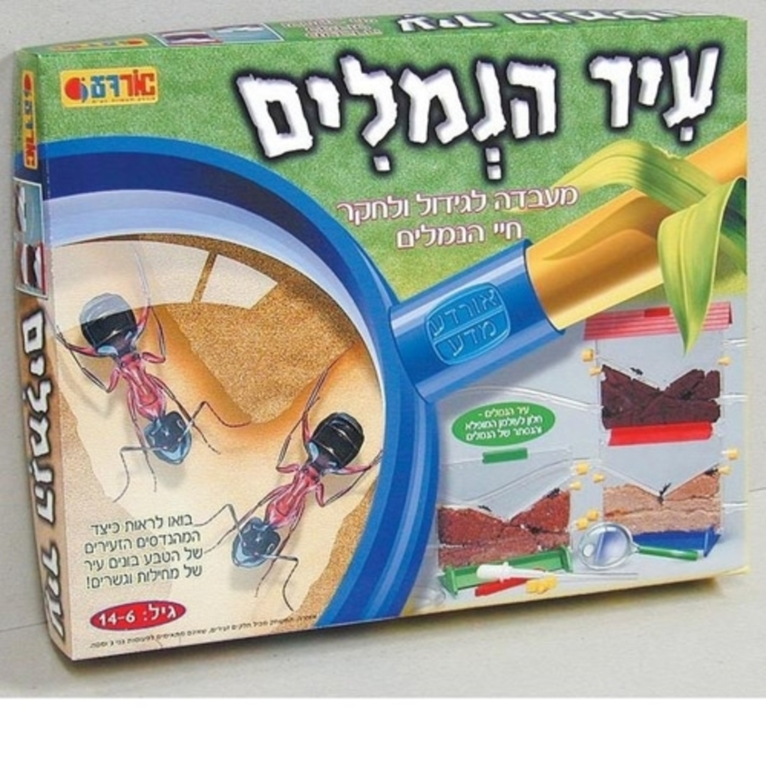 עיר הנמלים MY