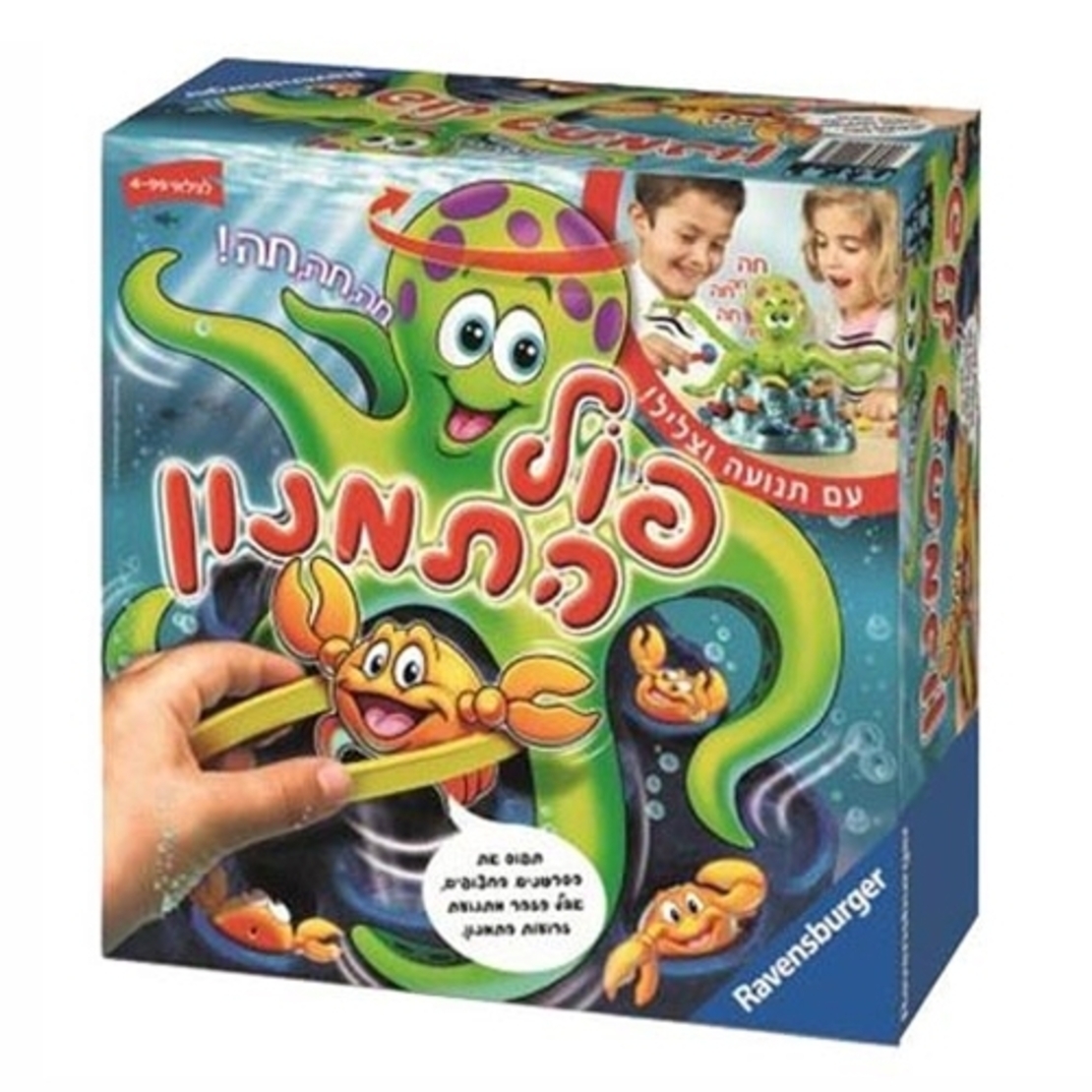 פול התמנון