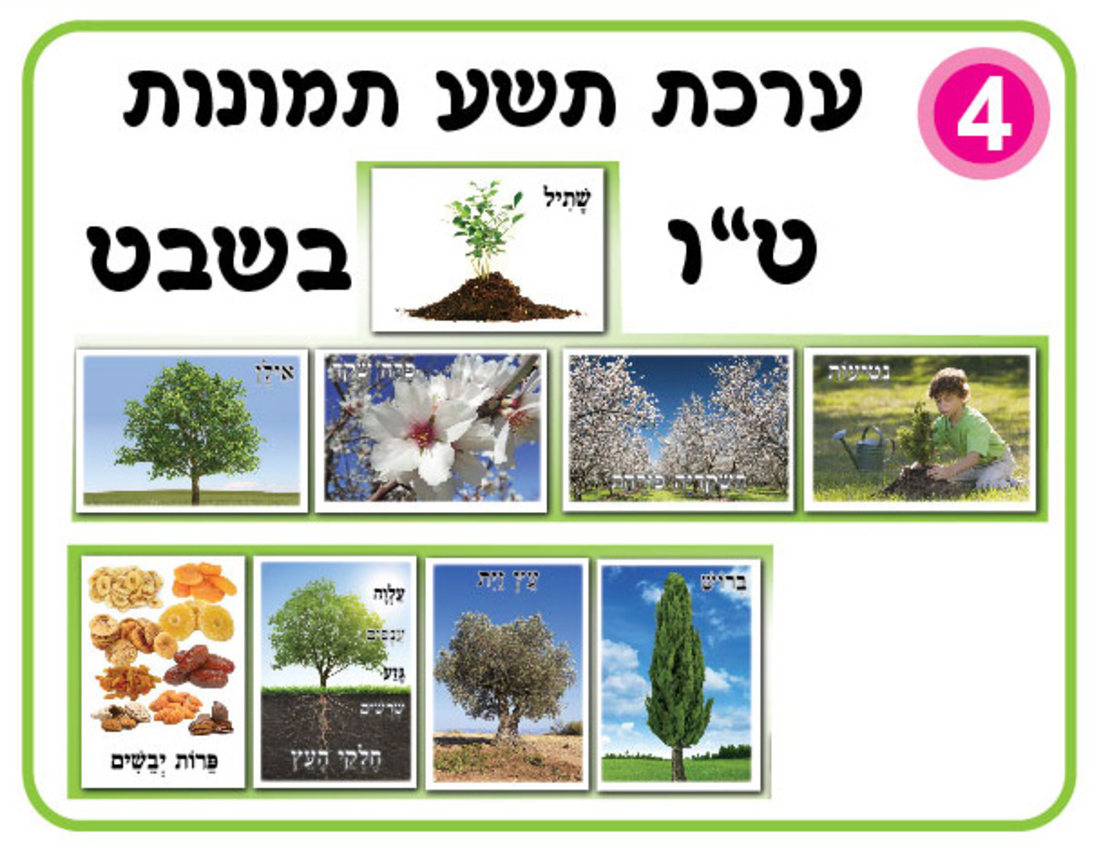 ערכת 9 תמונות ט