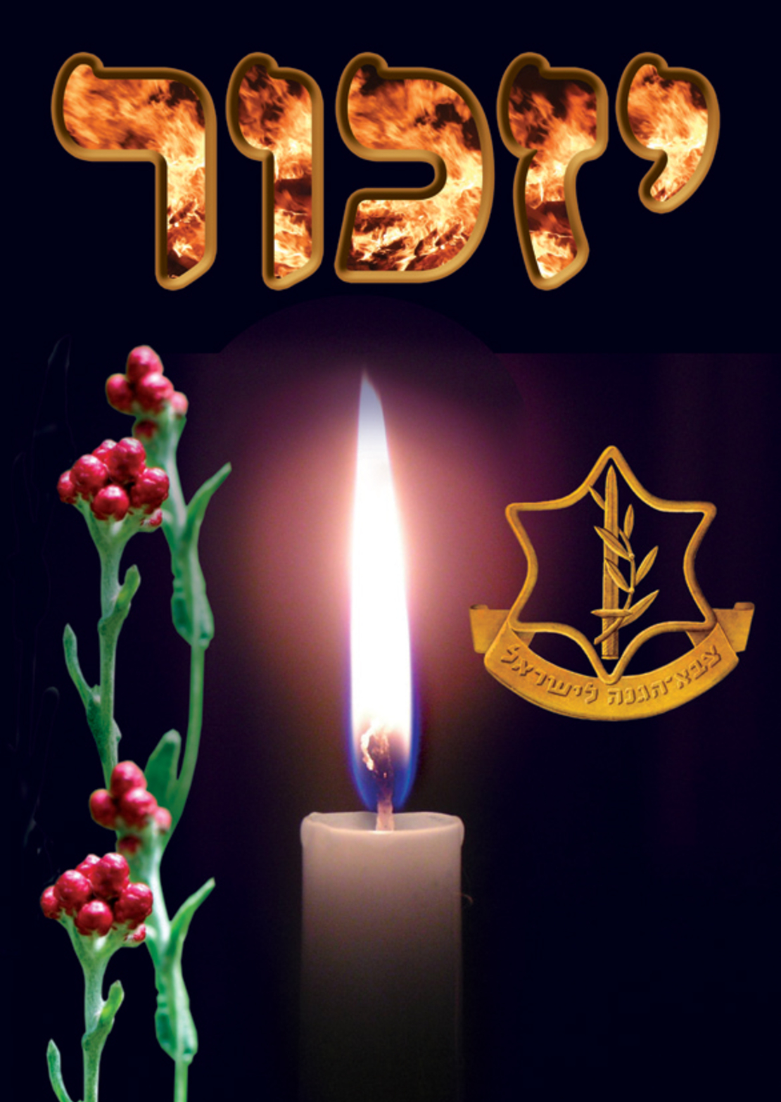 פלקט יזכור  35/50