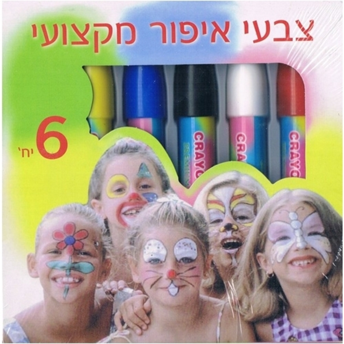 6 יחידות צבע איפור מקצועי