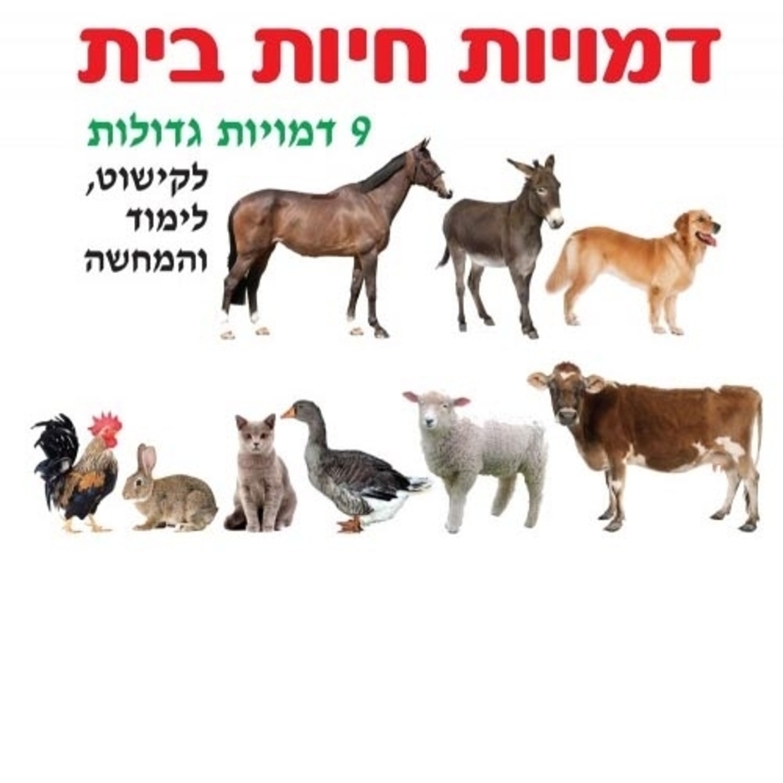 גזירות גדולות להמחשה - חיות בית 18 יח' GL