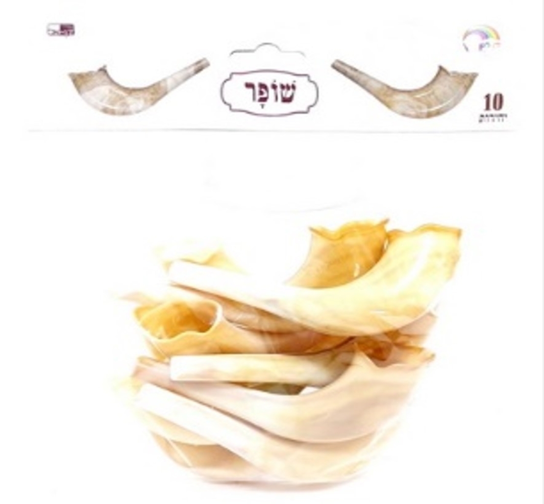 שופר טבעי 1/10