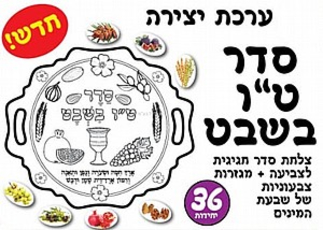 צלחת סדר חגיגית ט
