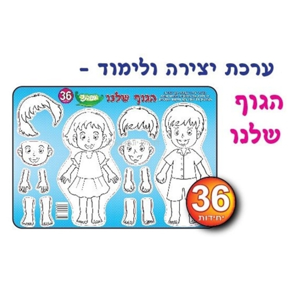 ערכת יצירה ולימוד- הגוף שלנו