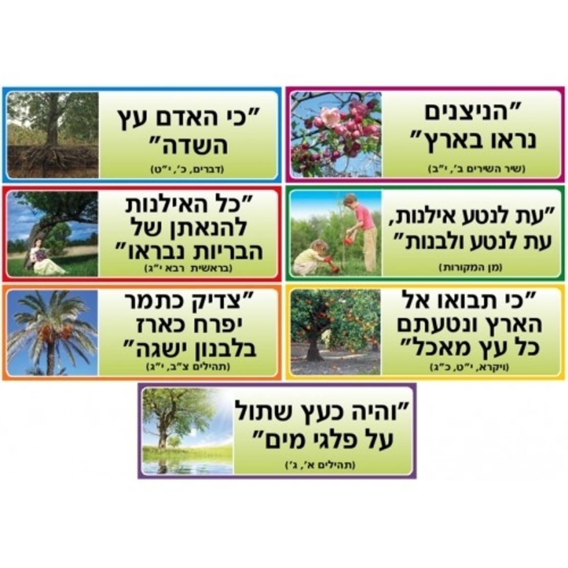 ערכת פתגמים לט