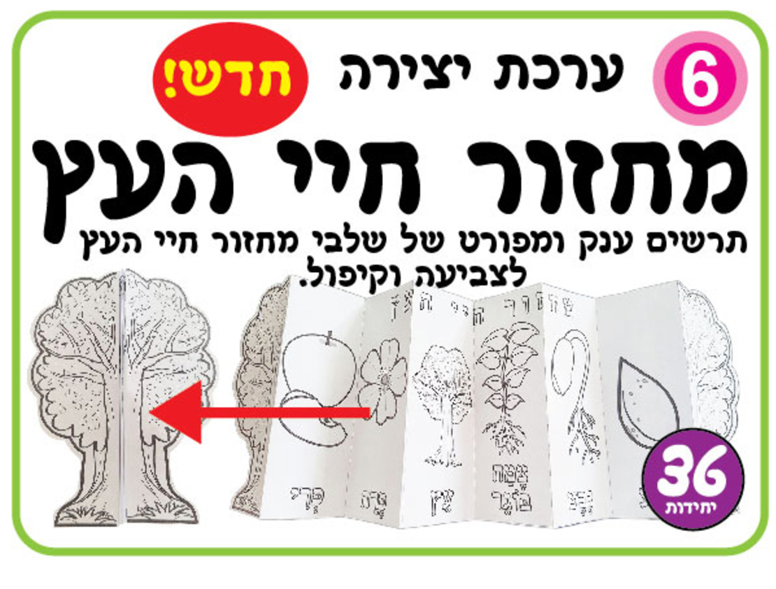 ערכת יצירה מחזור חיי העץ