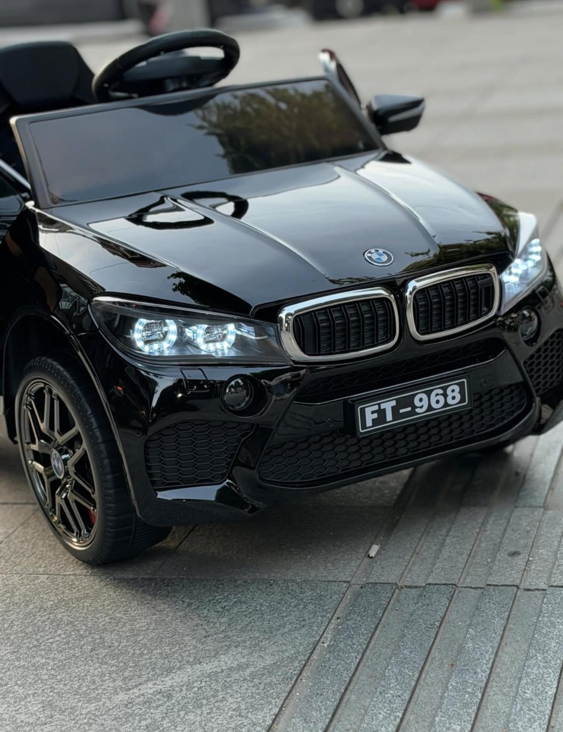 bmw 12v X6