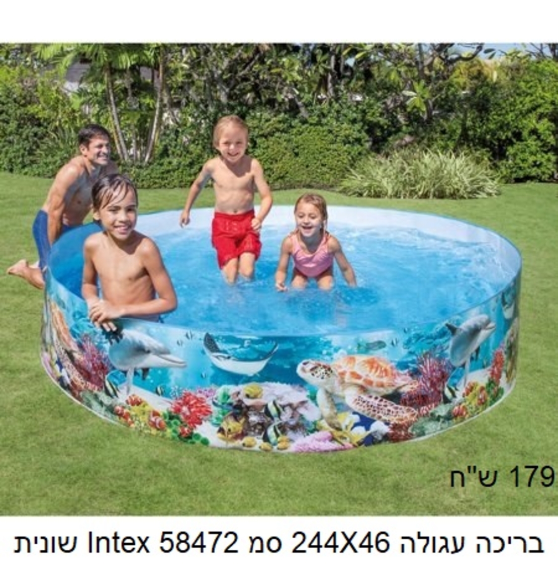 מגוון בריכות ומוצרי קיץ