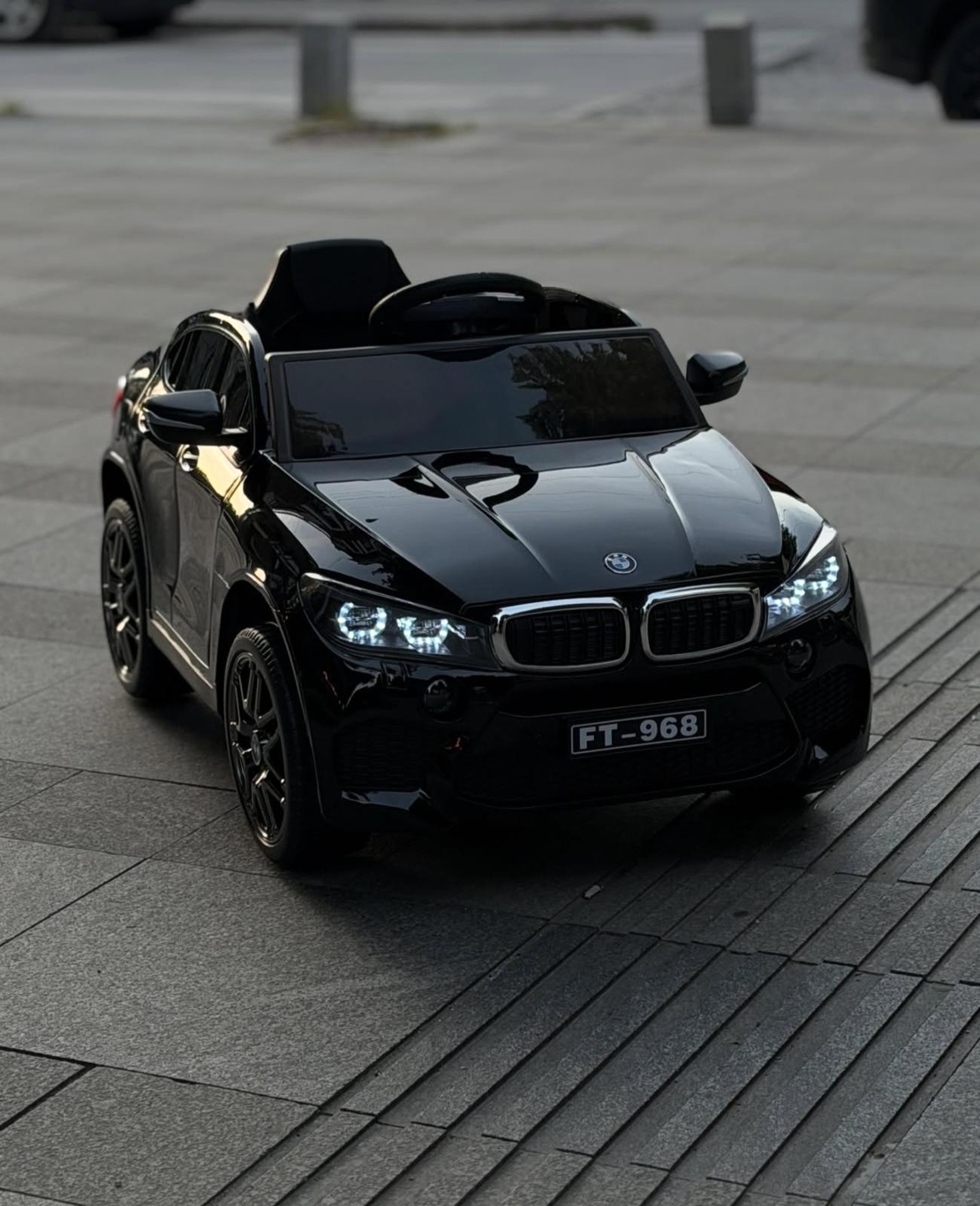 bmw 12v X6