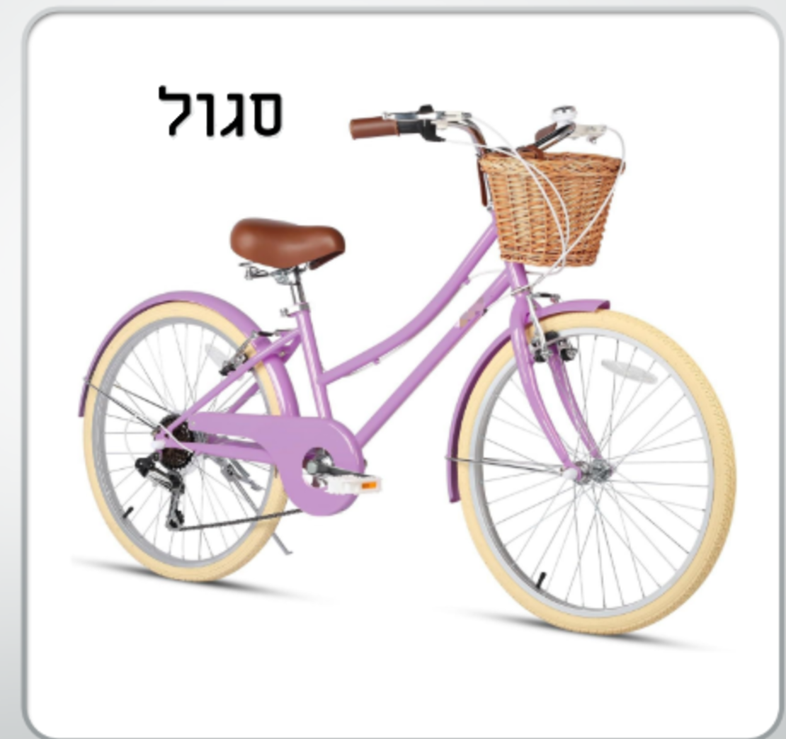 אופני  STYLE וינטיג'  24 - הילוכים
