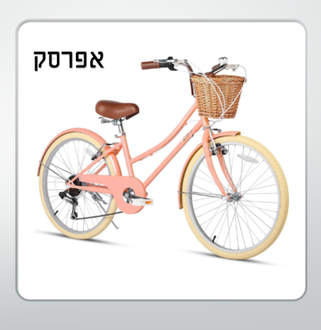 אופני  STYLE וינטיג'  24 - הילוכים