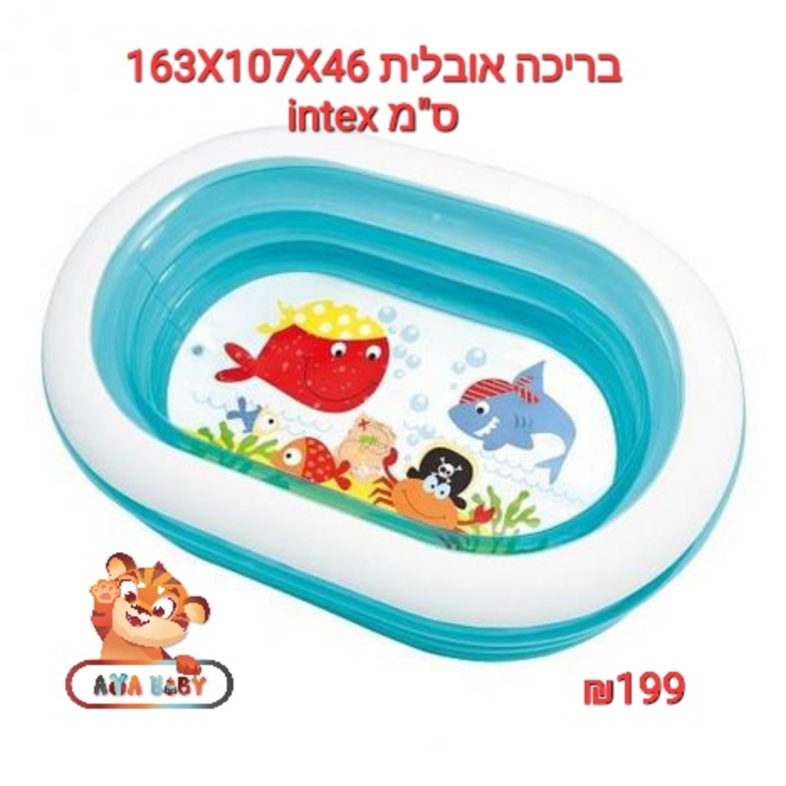 מגוון בריכות ומוצרי קיץ