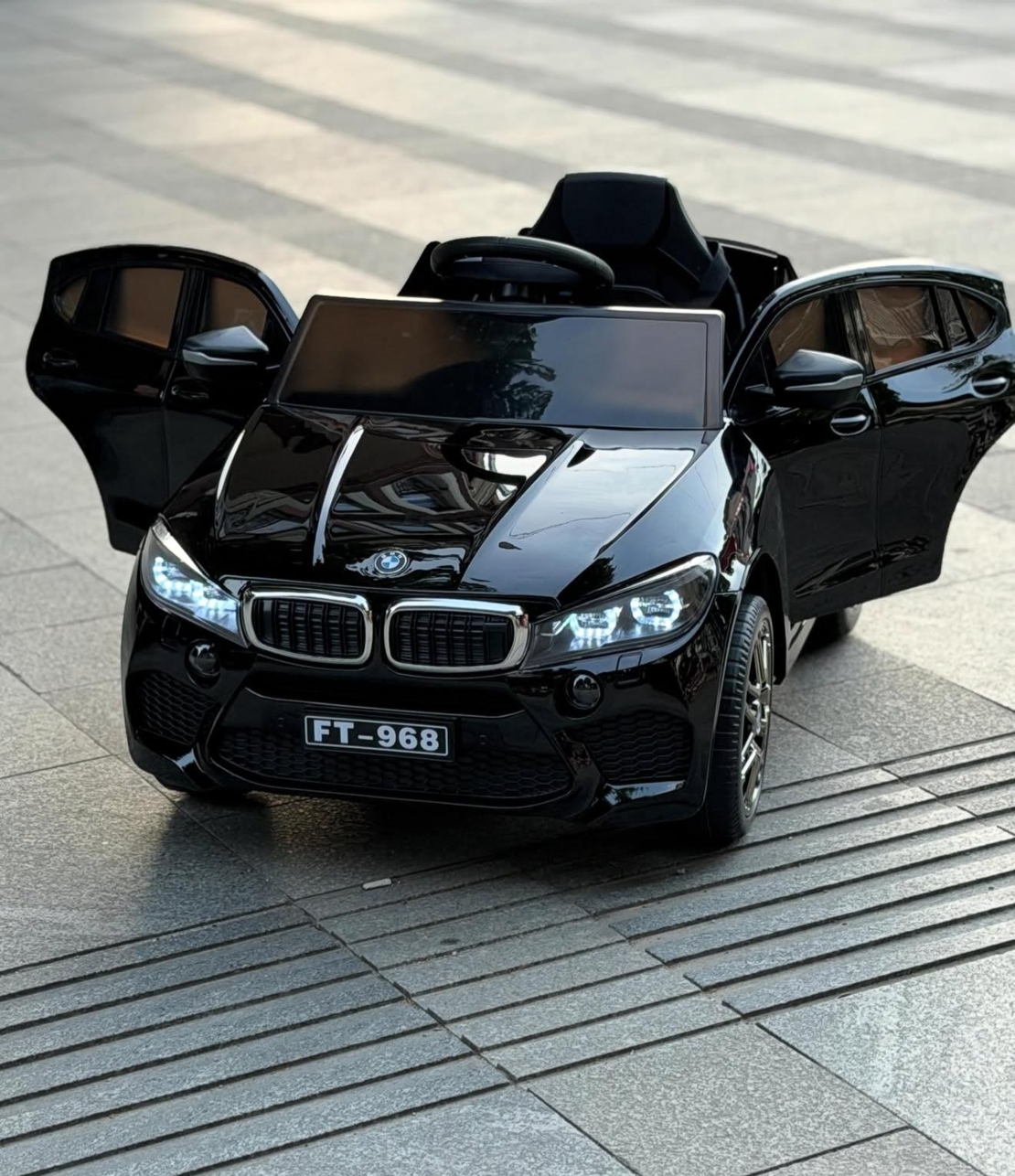 bmw 12v X6