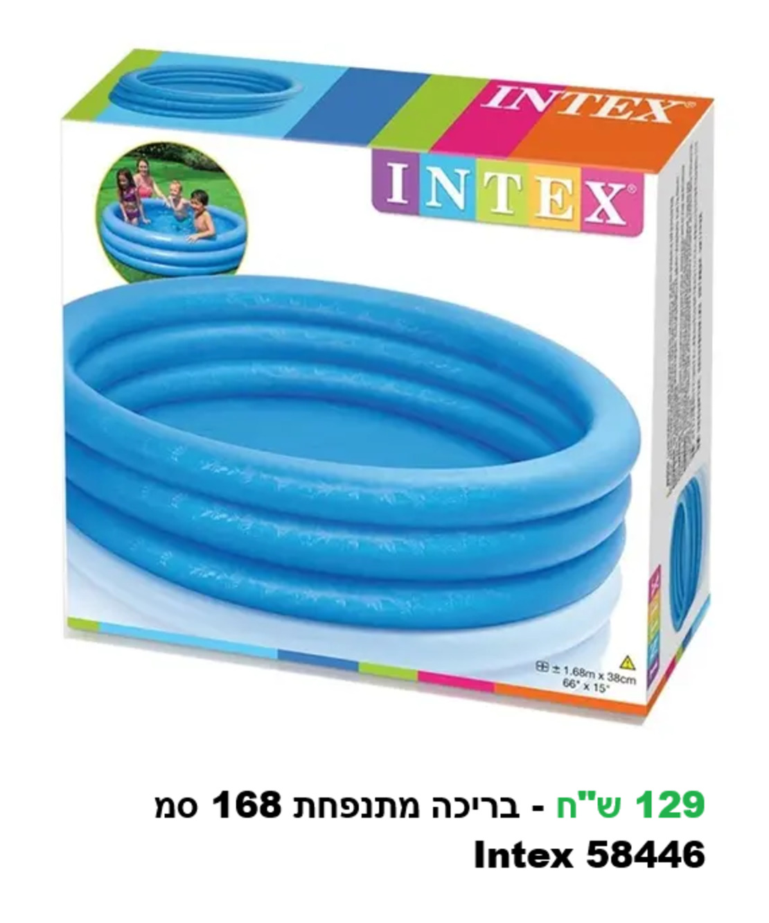 מגוון בריכות ומוצרי קיץ