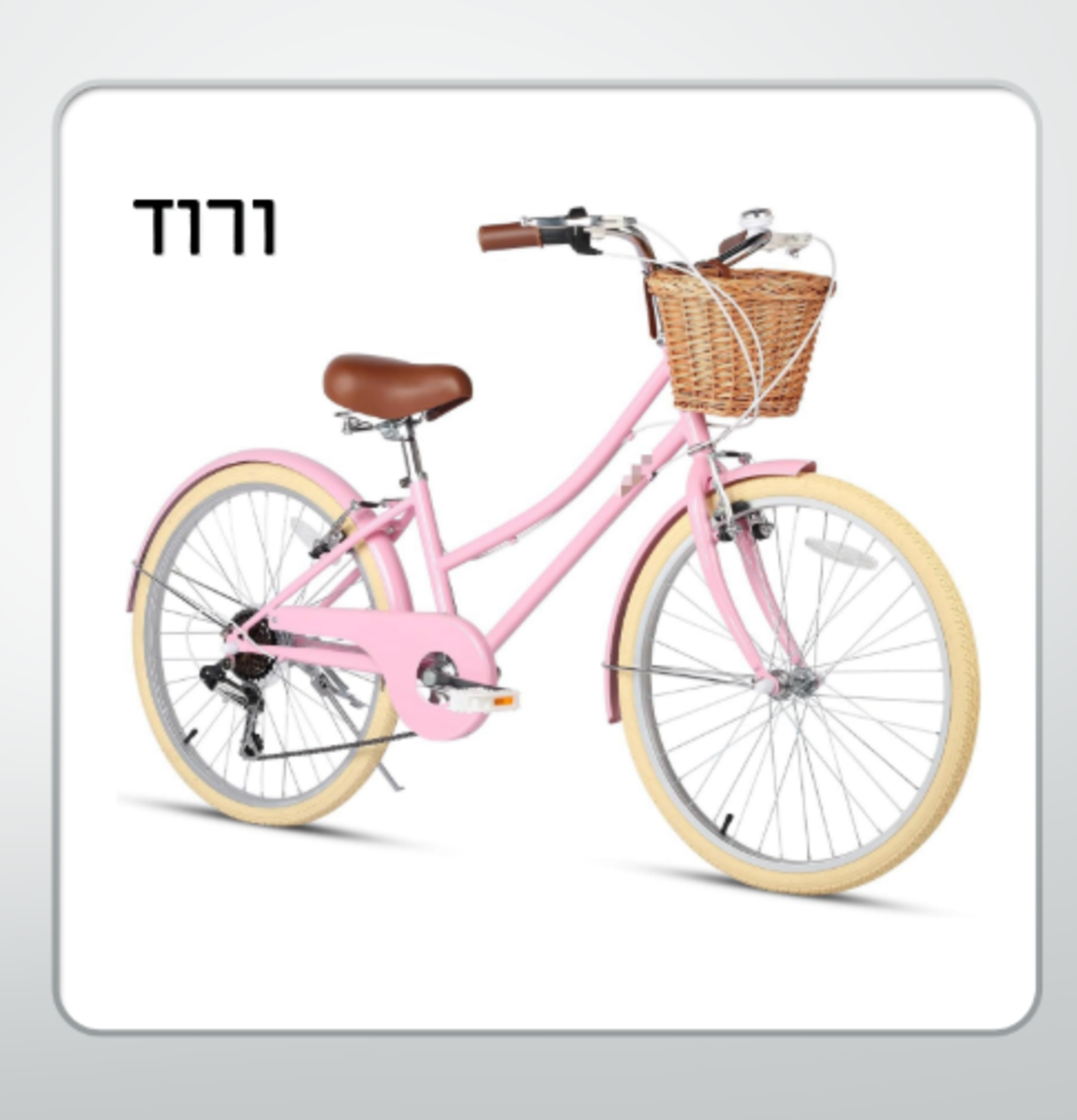 אופני  STYLE וינטיג'  24 - הילוכים