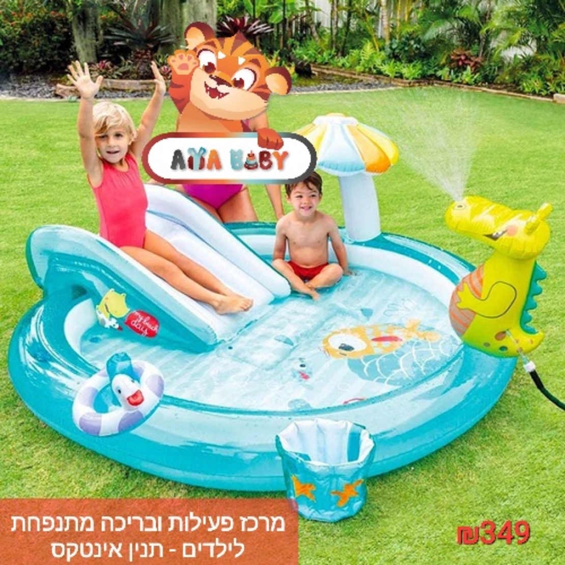 מגוון בריכות ומוצרי קיץ