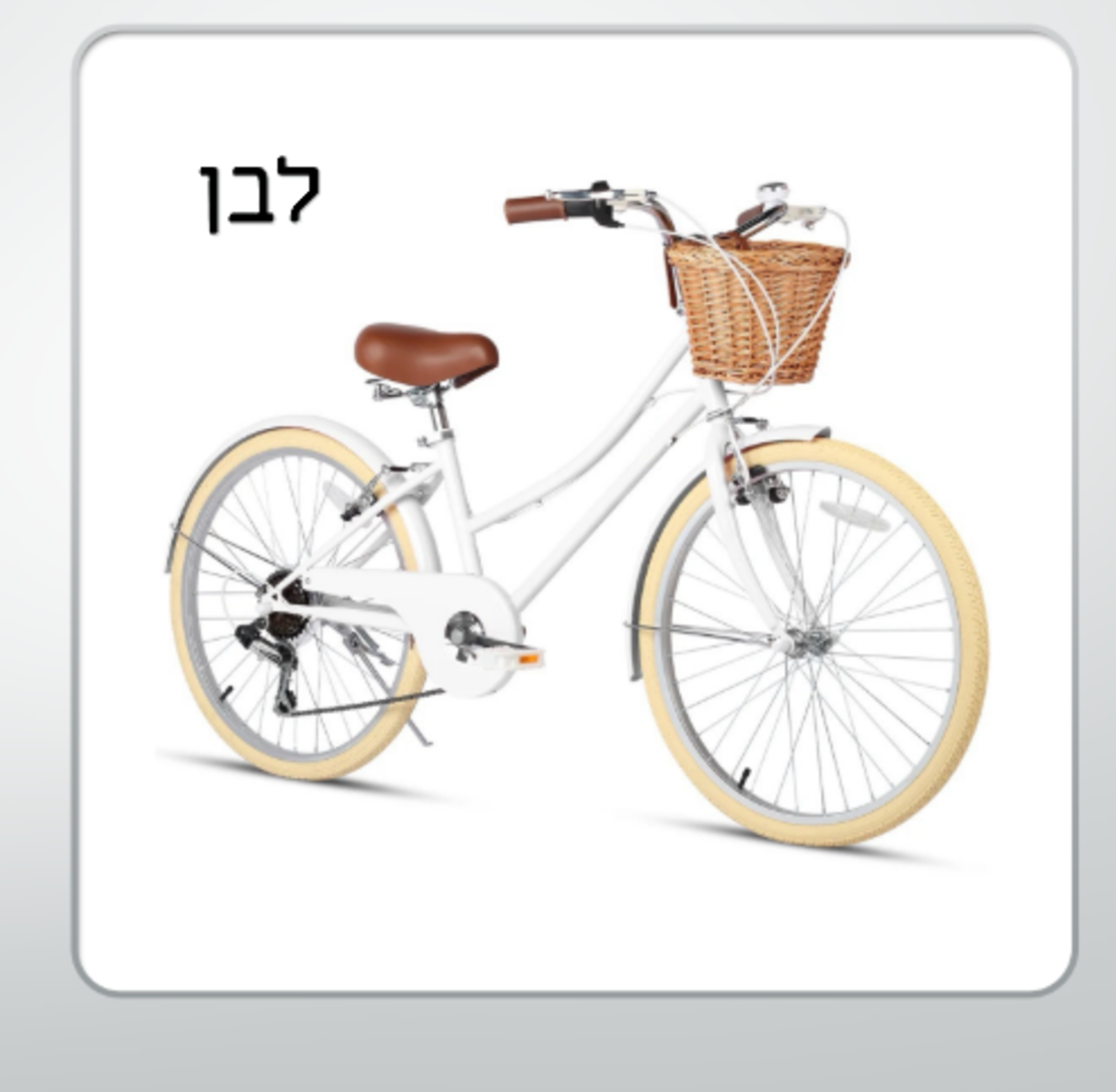 אופני  STYLE וינטיג'  24 - הילוכים