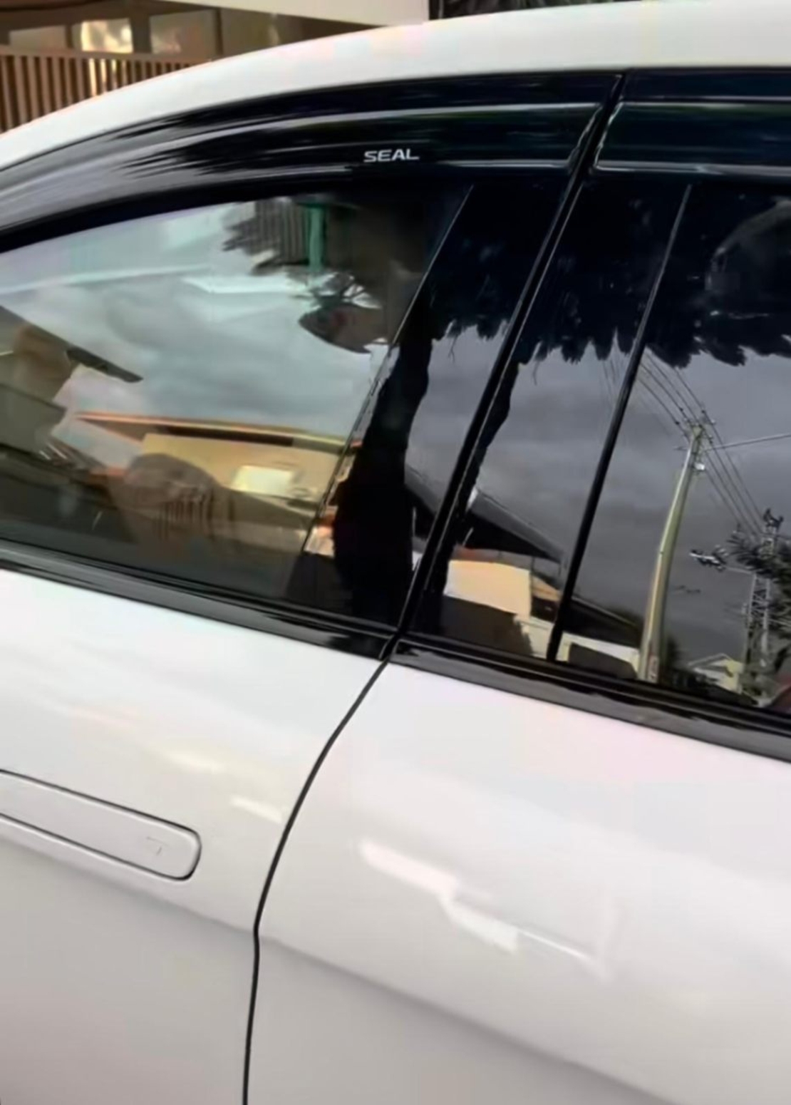 מגני רוח בהדבקה מבית Falcon עבור BYD Seal שנת 2023+ (6 חלקים)