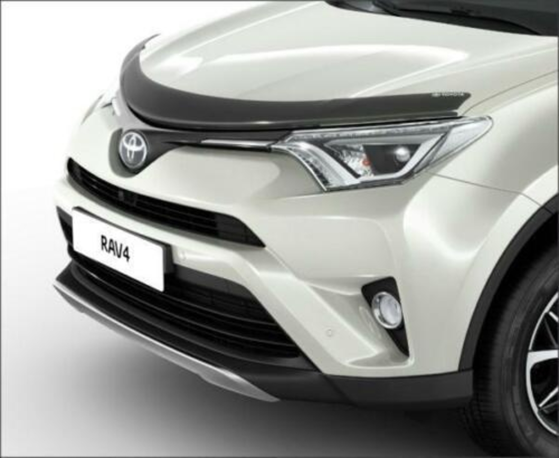 מגן יתושים Falcon לטויוטה ראב 4 2013-2019 rav 4