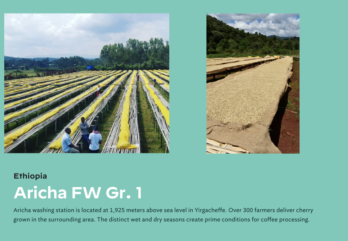 Yirgacheffe Aricha Adorsi washed G1