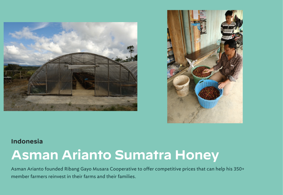Gayo Asman Arianto Ribang Gayo Musara honey