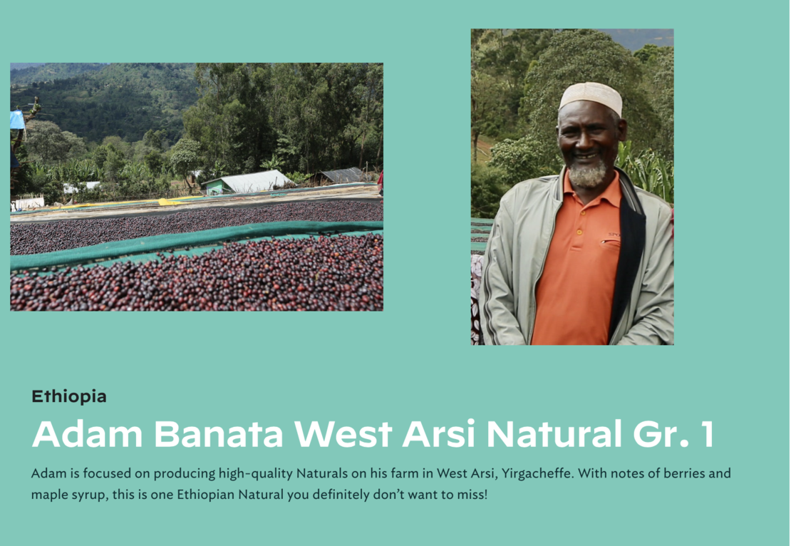 West-Arsi Nensebo Adam Banata smallholder natural G1