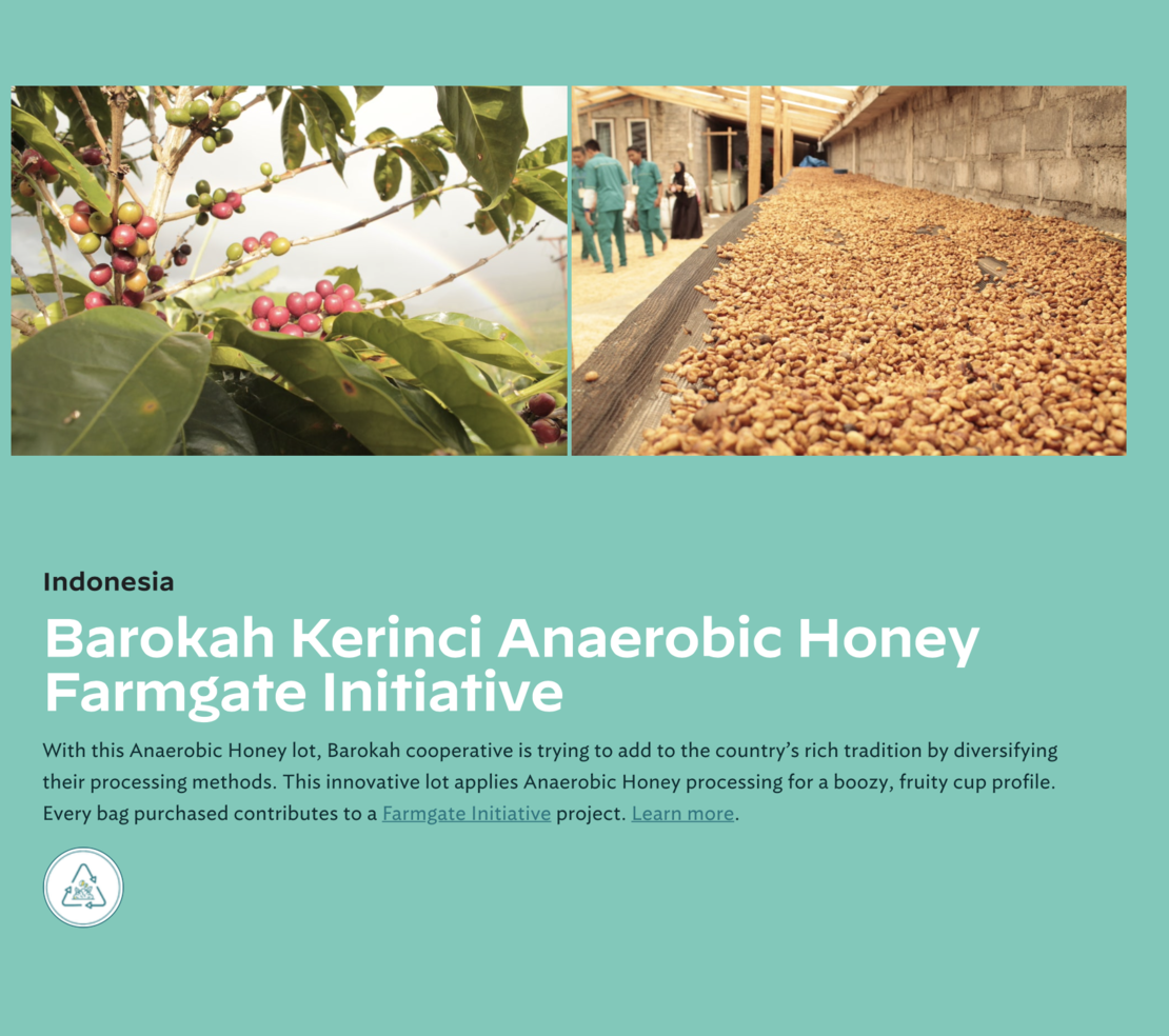 Kerinci Barokah Bersama anaerobic honey Farmgate Initiative