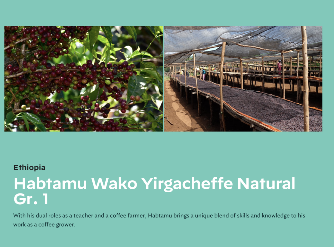 Ethiopia Habtamu Wako Yirgacheffe Natural Gr. 1