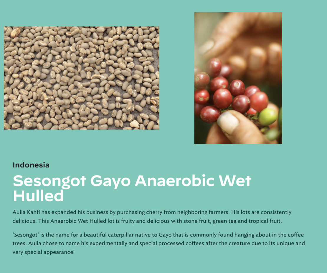 Indonesia Sesongot Gayo Anaerobic Wet Hulled