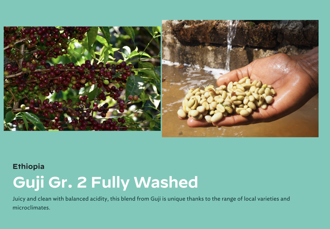Ethiopia Guji Gr. 2 Fully Washed