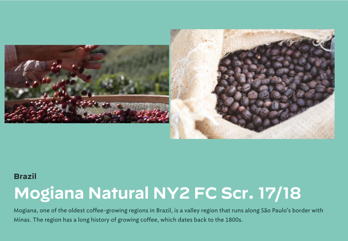 Brazil NY 2 17/18 SS FC Mogiana