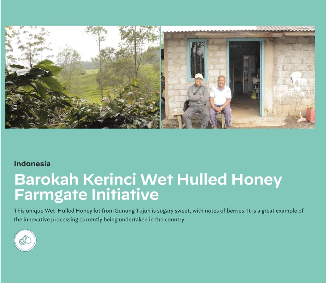 Kerinci Barokah Bersama wet hulled honey Farmgate Initiative
