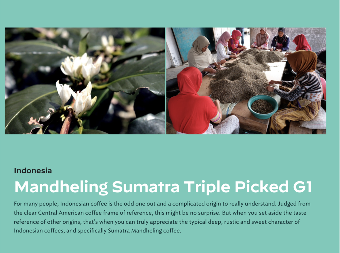 Mandheling Sumatra Triple Picked G1 (Fairtrade)