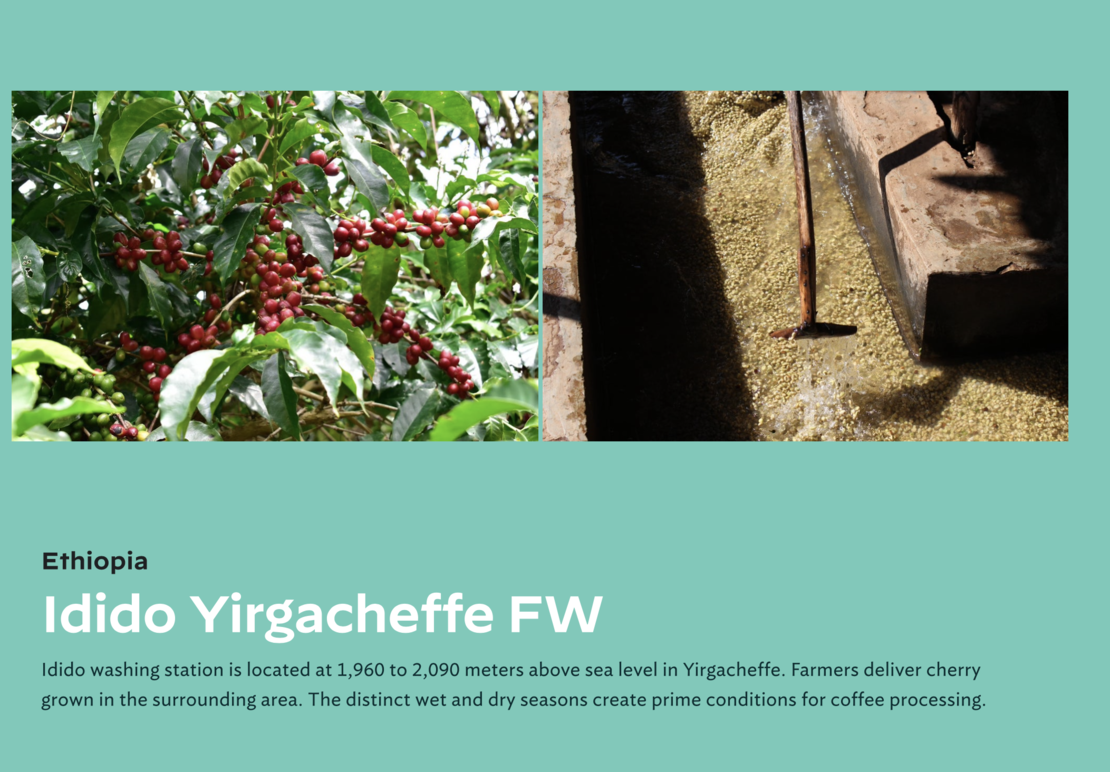 Ethiopia Yirgacheffe Idido Washed G1