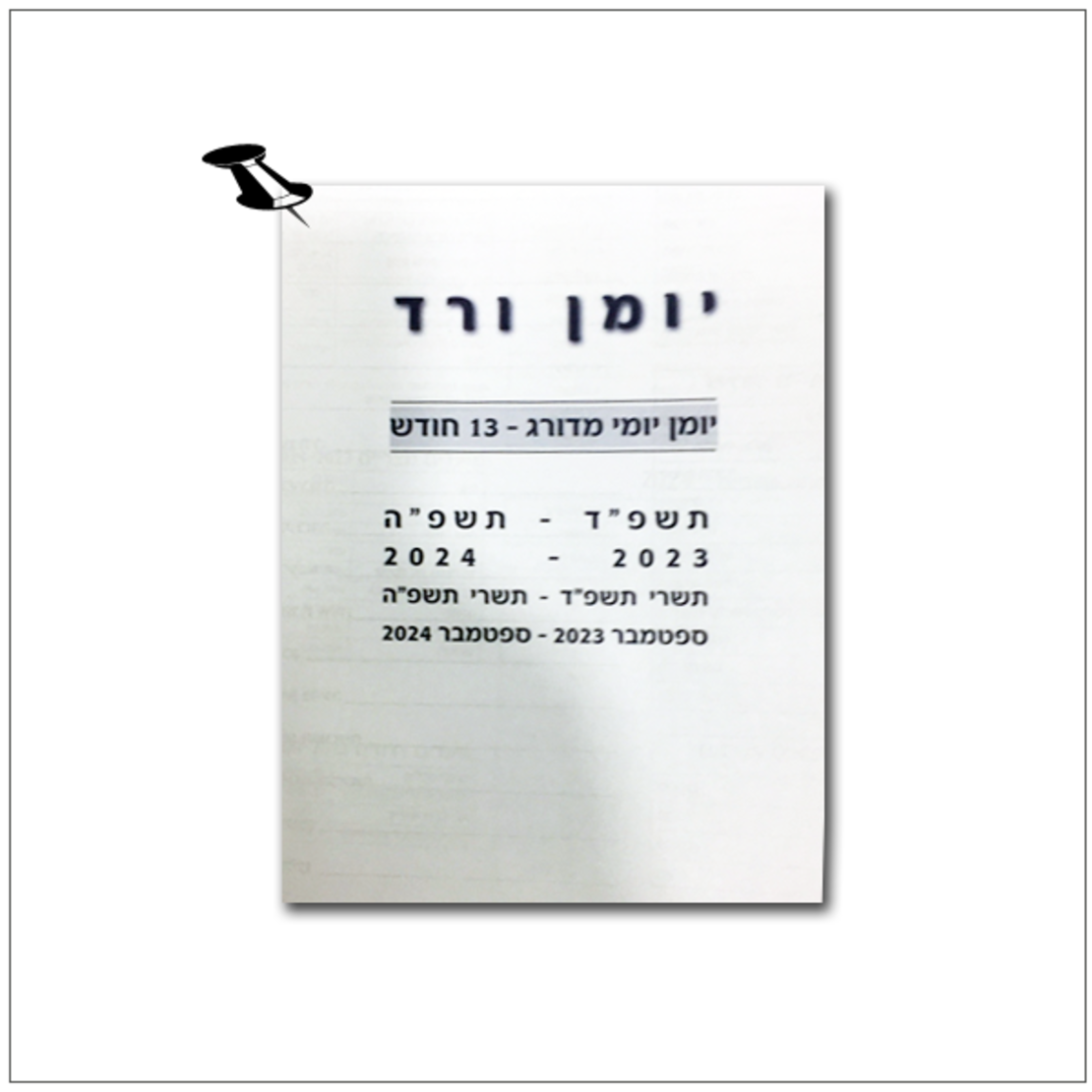 יומן יומי מדורג/ כריכה עבה 2024-2025 - ורד