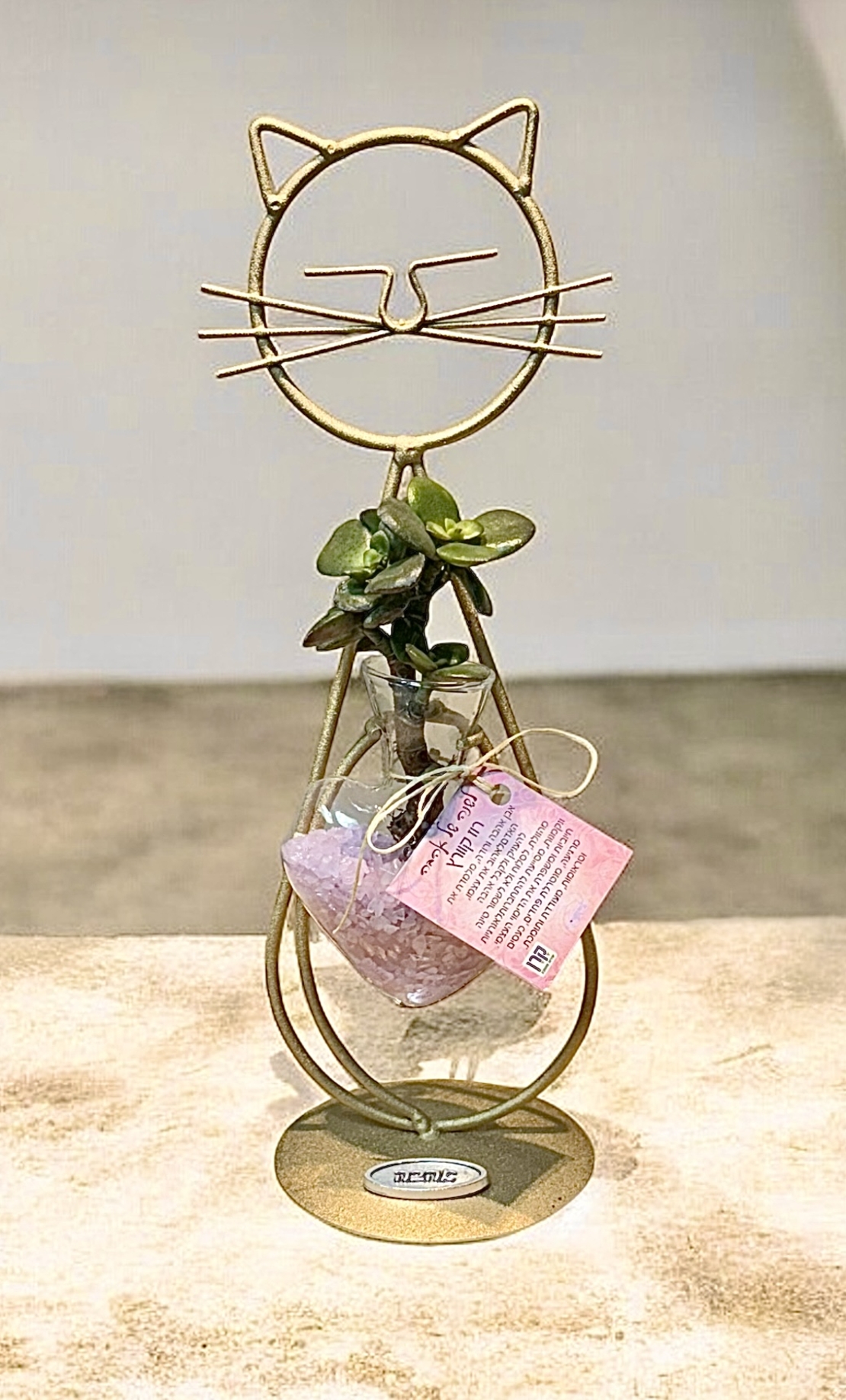 חתול הלב הקריסטלי - אנרגיה, טבע ואהבה