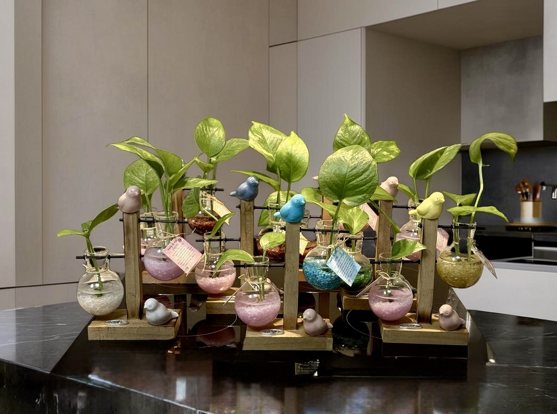 צומחים יחד – מעמד זוג מבחנות עם קריסטלים וצמח חי