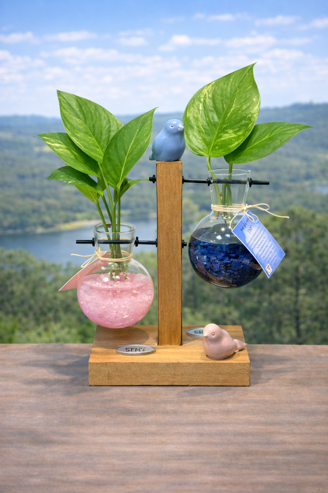 זוגיות בצמיחה – מבחנות קריסטל וצמחים חיים