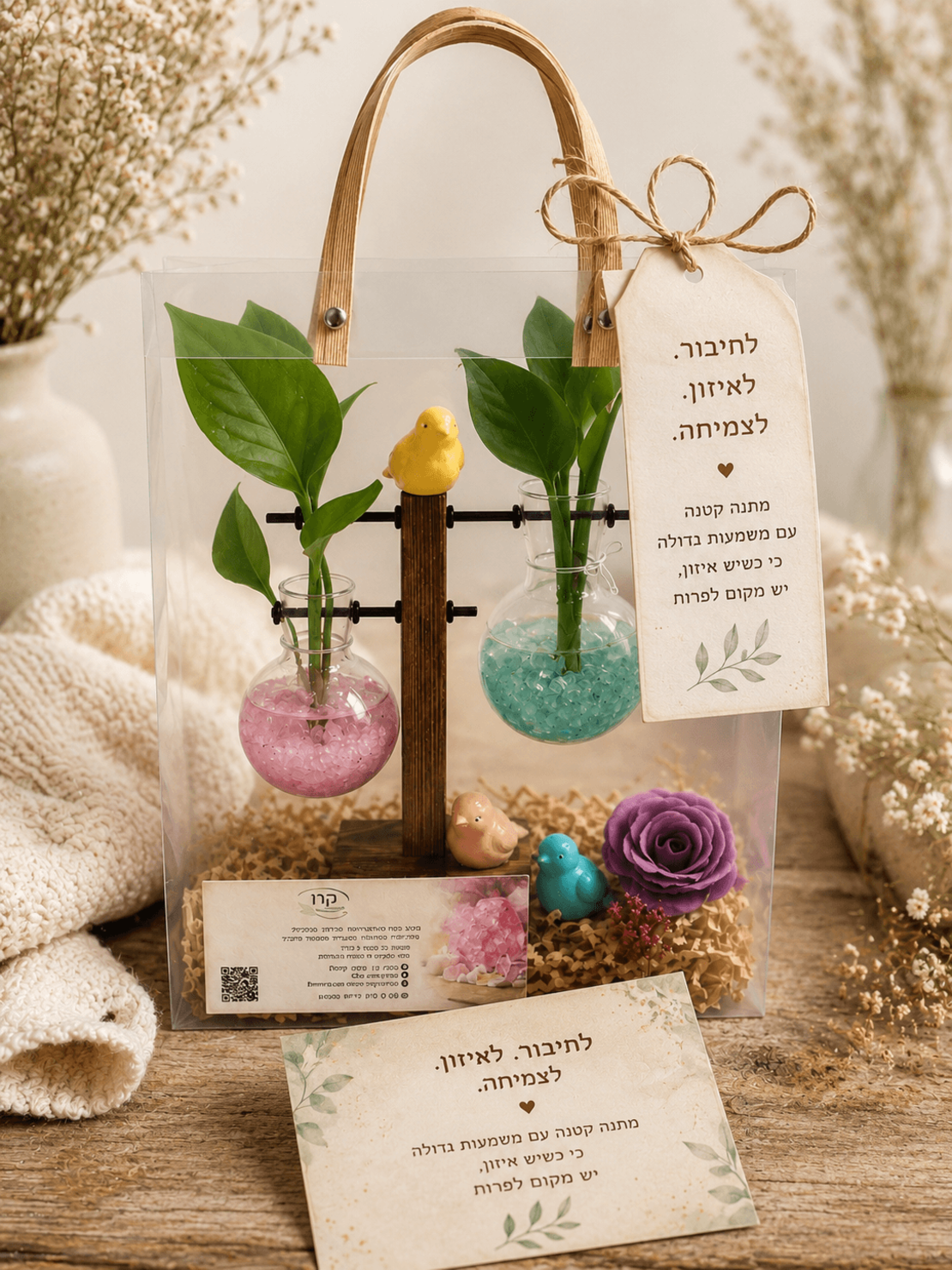 זוגיות בצמיחה – מבחנות קריסטל וצמחים חיים