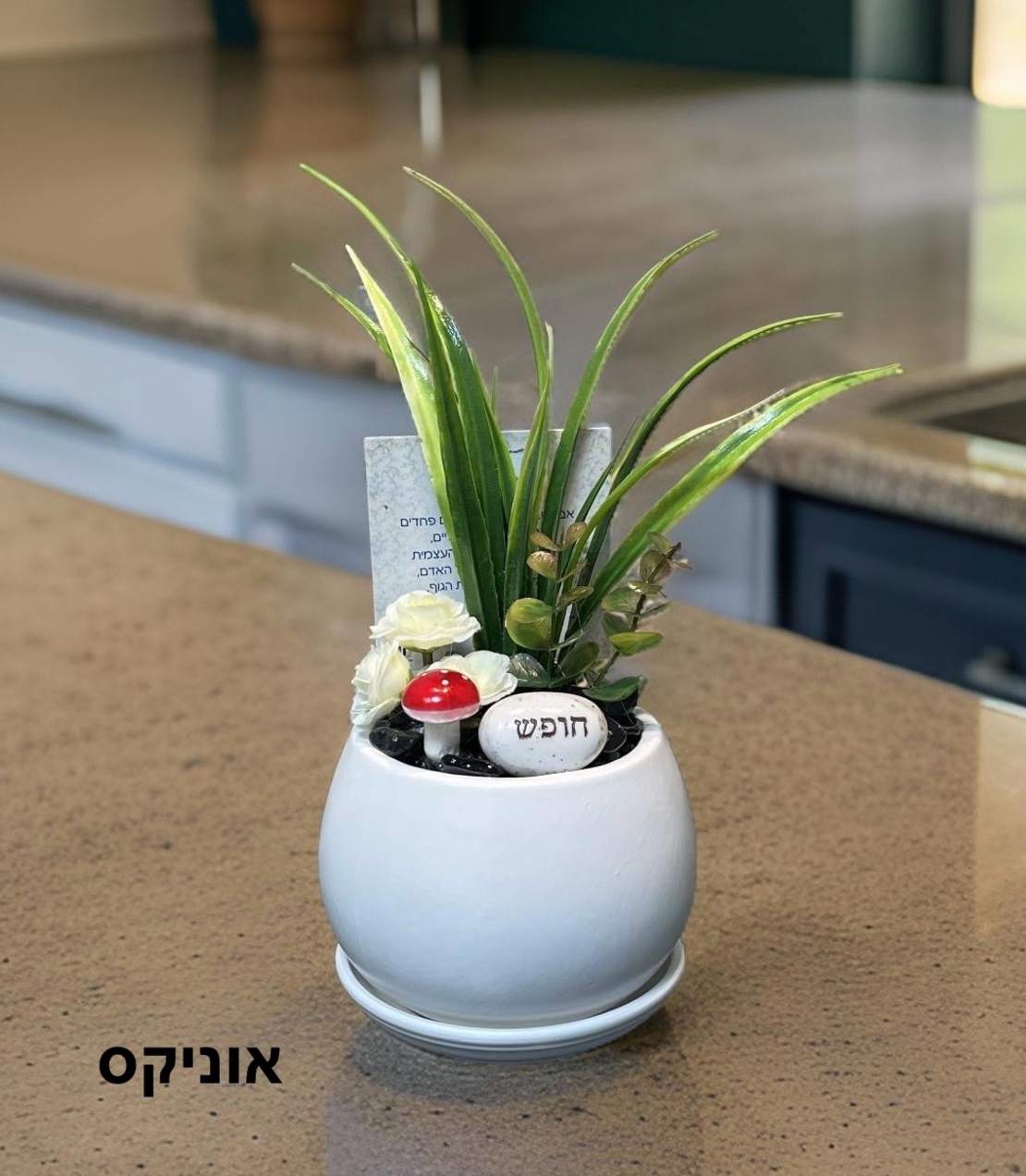 עציצי קריסטל מעוצבים