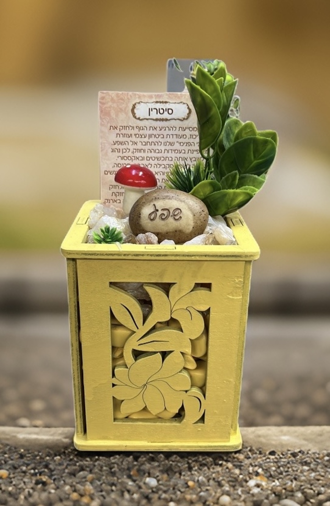 עציץ קריסטל בכלי לייזר קטן