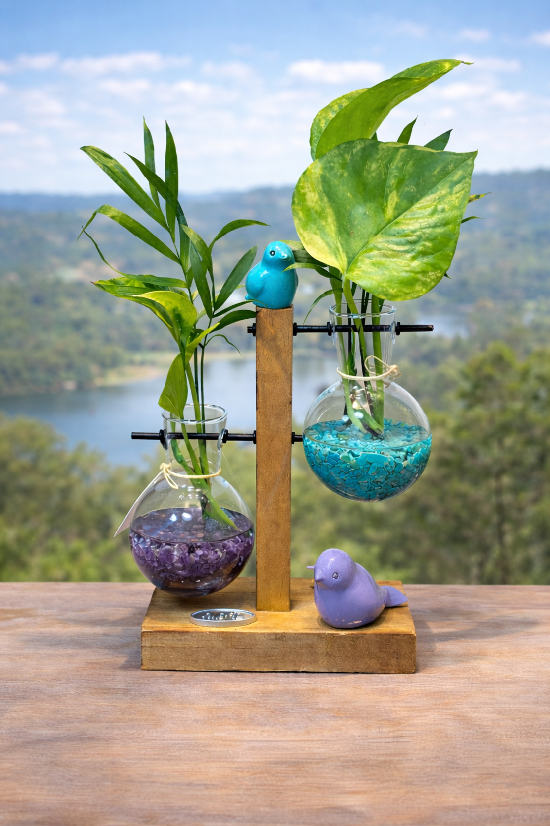 זוגיות בצמיחה – מבחנות קריסטל וצמחים חיים