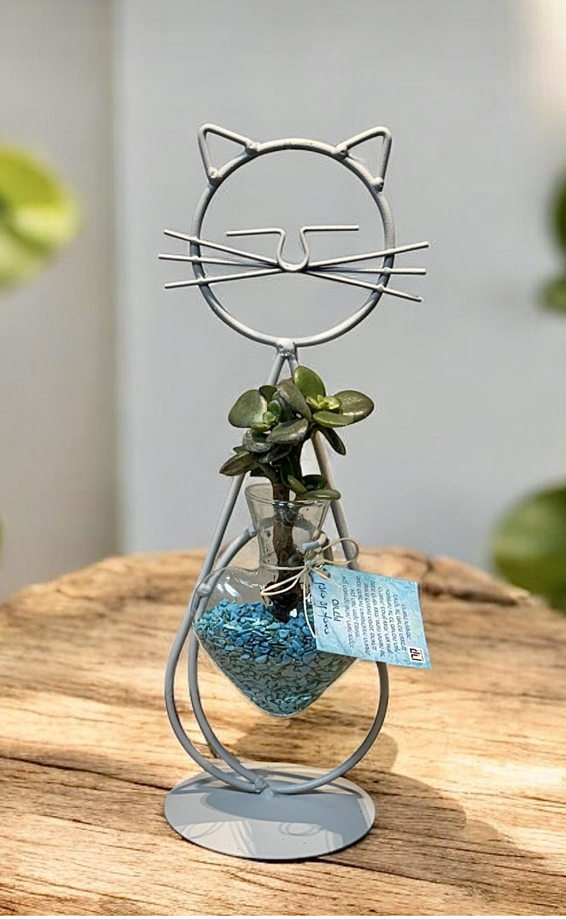 חתול הלב הקריסטלי - אנרגיה, טבע ואהבה