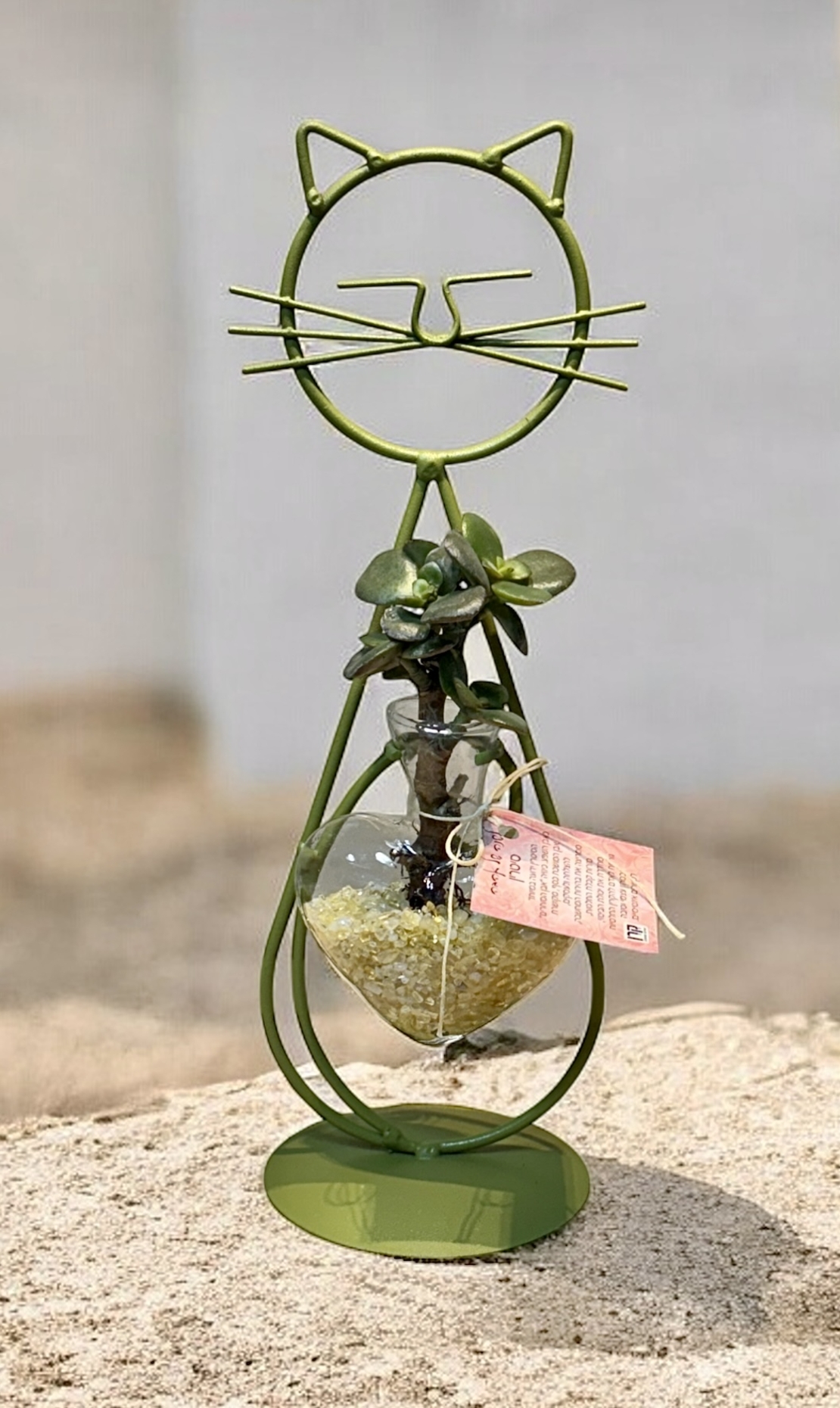 חתול הלב הקריסטלי - אנרגיה, טבע ואהבה