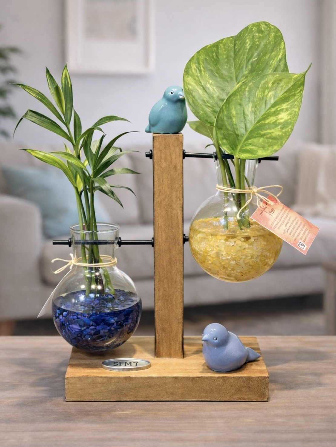 זוגיות בצמיחה – מבחנות קריסטל וצמחים חיים