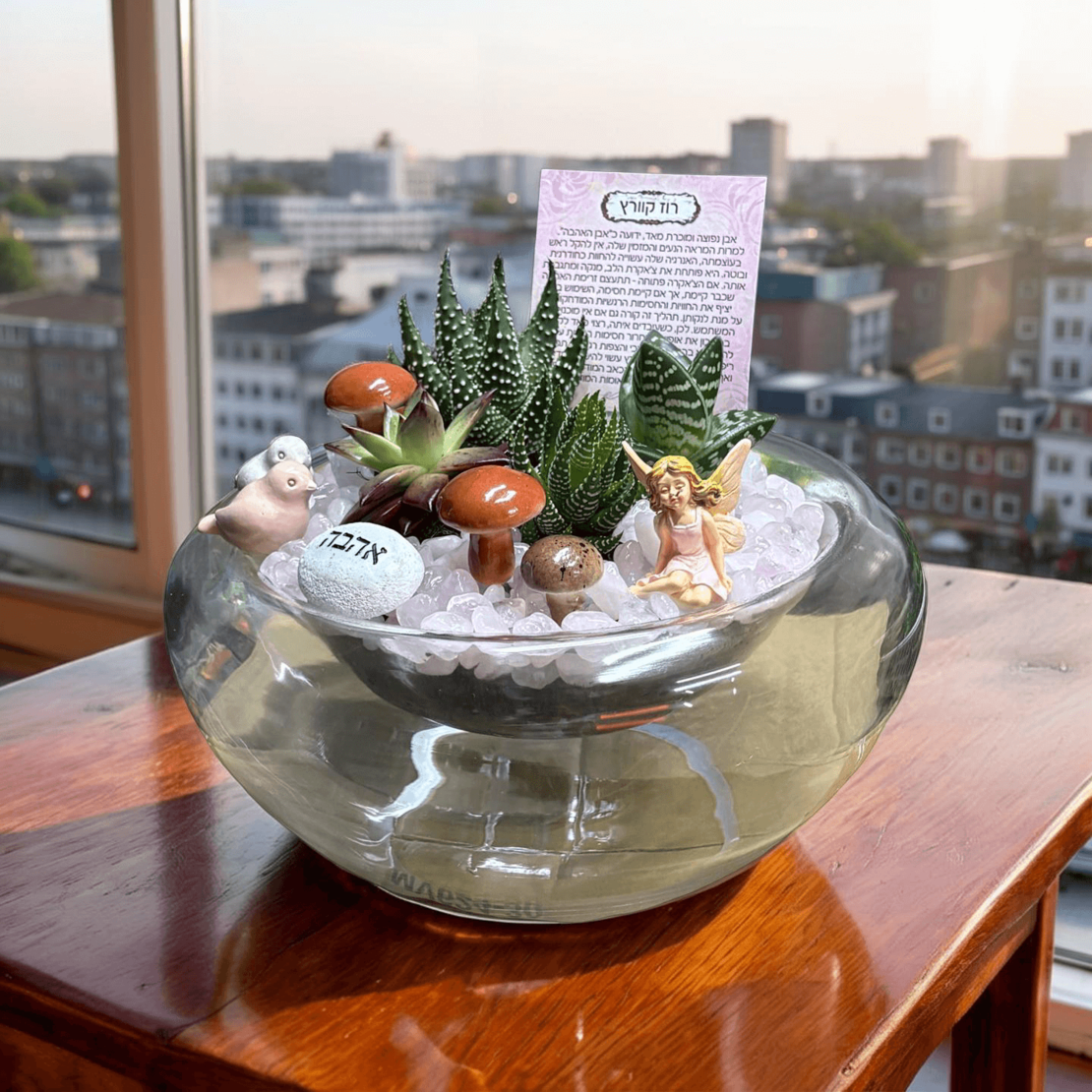 גן שפע והרמוניה – סוקולנטים וקריסטלים בכלי זכוכית