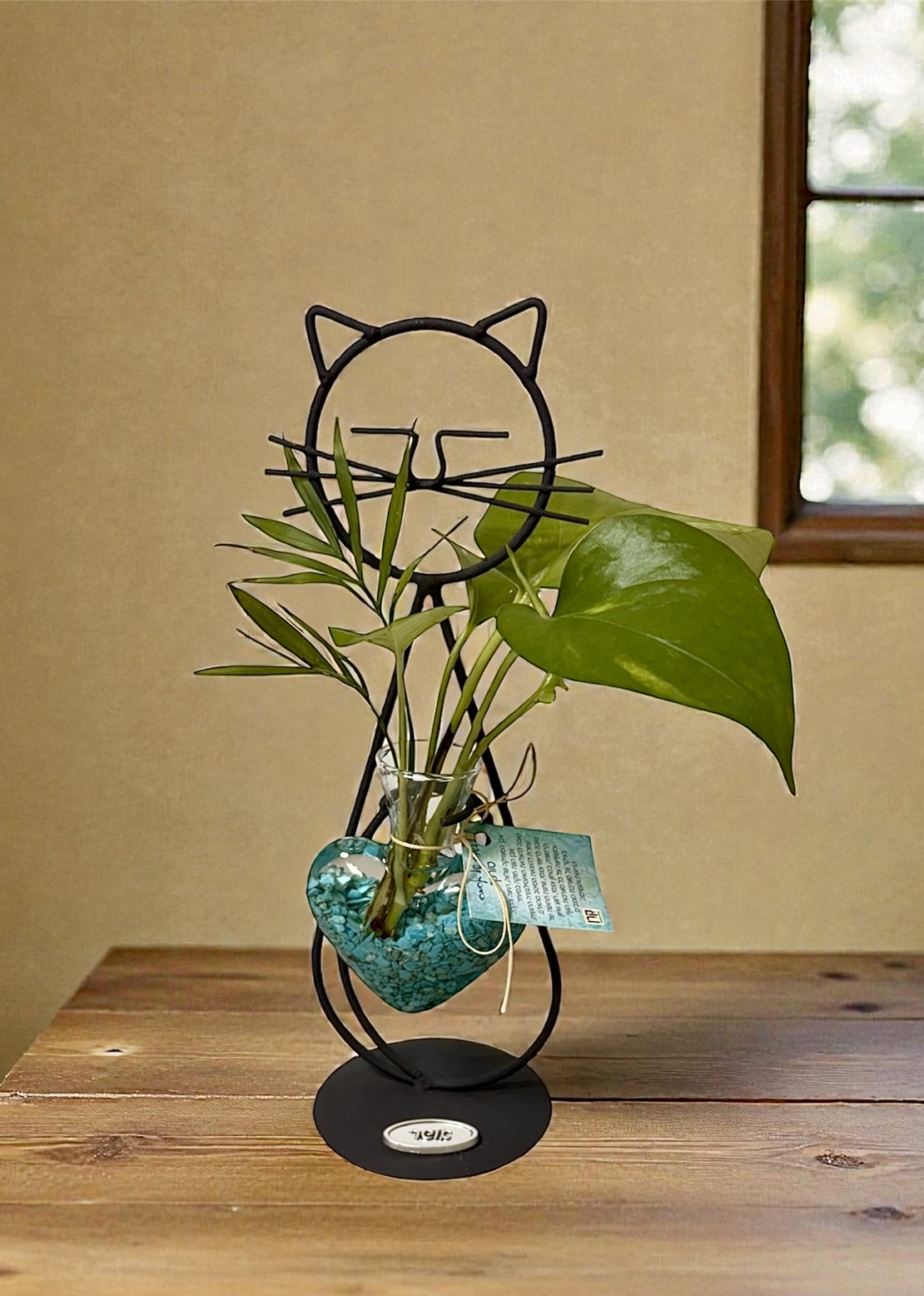 חתול הלב הקריסטלי - אנרגיה, טבע ואהבה