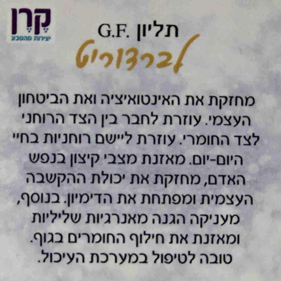 שרשרת עם תליון קריסטל לברדורייט