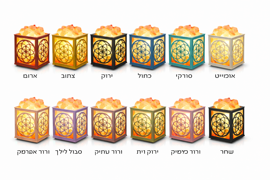 מנורת מלח לייזר פרח החיים